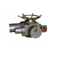 Electric Device for Multi-Rotary Valves