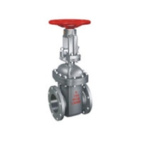 Parallel double gate valve